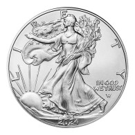 2024 $1 American Silver Eagle 1 Oz Bu - Collezioni