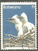 210 Botswana Oiseau Bird Vogel Uccello Cattle Egret Aigrette Du Bétail (BOT-34i) - Cranes And Other Gruiformes