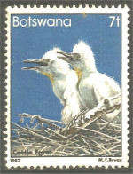 210 Botswana Oiseau Bird Vogel Uccello Cattle Egret Aigrette Du Bétail (BOT-34c) - Botswana (1966-...)