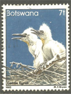 210 Botswana Oiseau Bird Vogel Uccello Cattle Egret Aigrette Du Bétail (BOT-34b) - Botswana (1966-...)