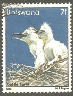 210 Botswana Oiseau Bird Vogel Uccello Cattle Egret Aigrette Du Bétail (BOT-34a) - Botswana (1966-...)