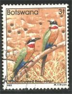 210 Botswana Oiseau Bird Vogel Uccello White Fronted Bee-Eater (BOT-32b) - Botswana (1966-...)