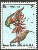 210 Botswana Oiseau Bird Vogel Uccello Lesser Double-colored Sunbird Bicolore (BOT-31a) - Botswana (1966-...)