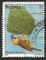 210 Botswana Oiseau Bird Vogel Uccello Masked Weaver Tisserand (BOT-30a) - Botswana (1966-...)