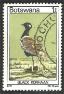 210 Botswana Oiseau Bird Vogel Uccello Black Korhaan (BOT-28a) - Botswana (1966-...)