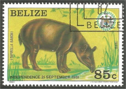 204 Belize Tapir Cochon Sauvage Wild Pig (BLZ-54a) - Belize (1973-...)