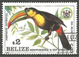 204 Belize Oiseau Bird Vogel Uccello Keel Billed Toucan (BLZ-53e) - Papagayos