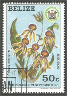 204 Belize Independence Orchidée Black Orchid Orkid (BLZ-51a) - Belize (1973-...)