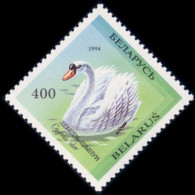 202 Belarus 1994 Swan Bird Oiseau Cygne MNH ** Neuf SC (BLR-11b) - Cigni