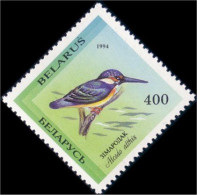 202 Belarus 1994 Kingfisher Bird Oiseau Martin Pecheur MNH ** Neuf SC (BLR-10b) - Passereaux