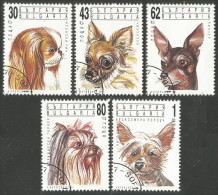 230 Bulgarie Dogs Chiens Hund Perro Cane (BUL-447) - Collections, Lots & Series