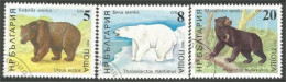 230 Bulgarie Ours Bear Bare Orso Oso (BUL-416) - Ours