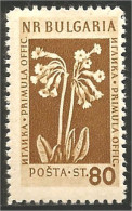 230 Bulgarie 1953 Cowslip MVLH * Neuf CH Très Légère (BUL-263) - Geneeskrachtige Planten