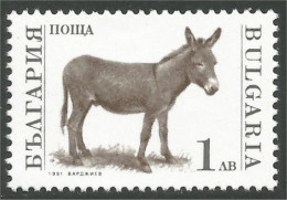 230 Bulgarie Ane Donkey Eisel MNH ** Neuf SC (BUL-44) - Burros Y Asnos