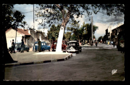 ALGERIE - TEBESSA - PLACE DE LA CASBAH ET COURS CARNOT - TRACTION - Tebessa