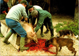 Delcampe - 6-3-2025 (2 Y 16) France - Scènes De La Vie Rurale - Le Tue-cochon à La Ferme (Pig Killing In Farmland) - Bauernhöfe