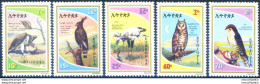 Fauna. Uccelli 1980. - Etiopia