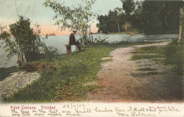 TRINIDAD - POINT CUMANA - PUB. MUIR - 1907 - Trinidad