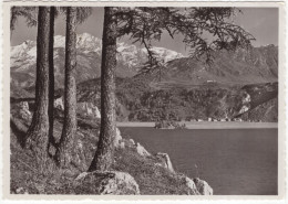Blick Von De Malojastrasse über Den Silsersee Gegen Piz Corvatsch Und Isola - (Suisse/Schweiz)  - 1969 - Autres & Non Classés