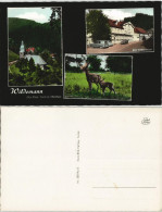 Ansichtskarte Wildemann (Innerstetal) Stadt, Zum Wilden Mann, Rehe 1964 - Wildemann