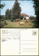 Ansichtskarte Vögisheim-Müllheim (Baden) Pension Haus Friede 1975 - Müllheim