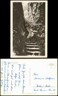 Ansichtskarte Jonsdorf Nonnenfelsentreppe, Fotokarte 1953 - Jonsdorf