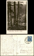 Ansichtskarte Eisenberg (Thüringen) Pfarrmühle Im Mühltal 1954 - Eisenberg