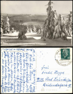 Masserberg Schönes Thüringen Im Winter Rennsteig Bei Masserberg 1968/1967 - Masserberg