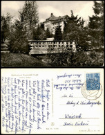 Ansichtskarte Bad Brambach Kurpark Radium-Kurhof Zur DDR-Zeit 1956 - Bad Brambach