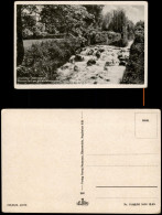 Ansichtskarte Eberswalde Wasserfall Am Weidendamm. 1953 - Eberswalde