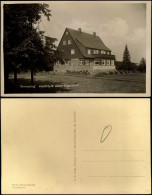 Ansichtskarte Kipsdorf-Altenberg (Erzgebirge) Sonnenhof Waldidylle 1932 - Kipsdorf