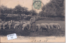 ERVY- BERGER ET SON TROUPEAU- PATURAGE A ERVY - Ervy-le-Chatel