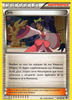 Carte Pokemon 81/101 Iris 2013 - Sonstige & Ohne Zuordnung