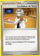 Carte Pokemon 90/111 La Chaleur De Terry 2009 - Sonstige & Ohne Zuordnung