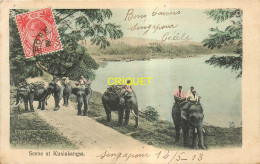 Malaisie, Kualakangsa, éléphants De Transport, Cachet Affranchissement Singapore 1913 - Malaysia