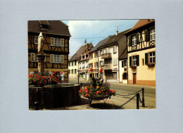 Wintzenheim (68) : Place De La République, Fontaine - Wintzenheim