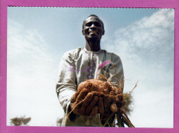 NIGER Un Agriculteur Heureuse Recolte Le Fruit De Sa Terre Carte SOS SAHEL - Niger