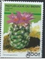 BENIN -  Cactus - Nelloydia Grandiflora - Cactussen