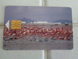 Bonaire Phonecard - Antilles (Netherlands)