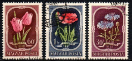 1951 - Ungheria 1024 + 1026/27 Fiori   ------ - Usati