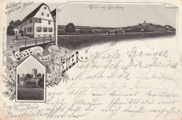 6920 SINSHEIM - WEILER, Lithographie 1897, Gasthaus Zum Goldenen Adler, Burg Steinsberg, Panorama - Sinsheim