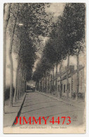 CPA - BLAIN (Loire-Inf.) Avenue Sortais - Edit. A. D. Nantes - Blain