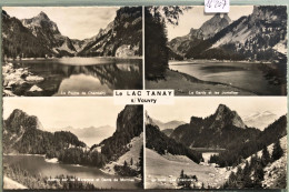 Le Lac Tanay Sur Vouvry - Pointe De Chambéry, Gardy, Jumelles, Diablerets ; Cachet Du Bazar (16'207) - Vouvry