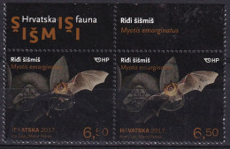 Croatie Faune Chauve-souris à Tête Rouge Myotis émarginatus 2017 - Croazia