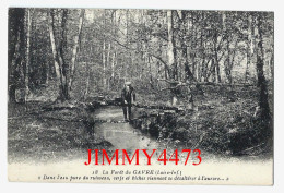 CPA - La Forêt Du GAVRE (Loire-Inf.) Dans L'eau Pure Du Ruisseau Cerfs Et Biches Viennent Se - N° 18 - Ed. Artaud-Nozais - Le Gavre
