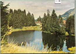 Le Lac Des Joncs (alt. 1236 M) (16'210) - Châtel-Saint-Denis