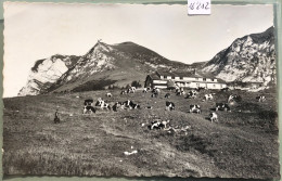 Chalet Du Gros Plané 1480 M. Et Le Moléson ; Cachet Du Chalet (16'212) - Bulle