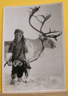 (LA1) LAPPONIA / FINLANDIA - RAGAZZO DELLE RENNE - POROPOIKA - THE REINDEER BOY LAPP - LAPLAND - VIAGGIATA - Finlande