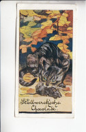Stollwerck Album No 3 Katzenbilder Erwischt   Grp 126 #3 Von 1899 - Stollwerck