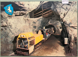 Bex : Train Des Mines De Sel (extraction De Touristes) (16'217) - Bex